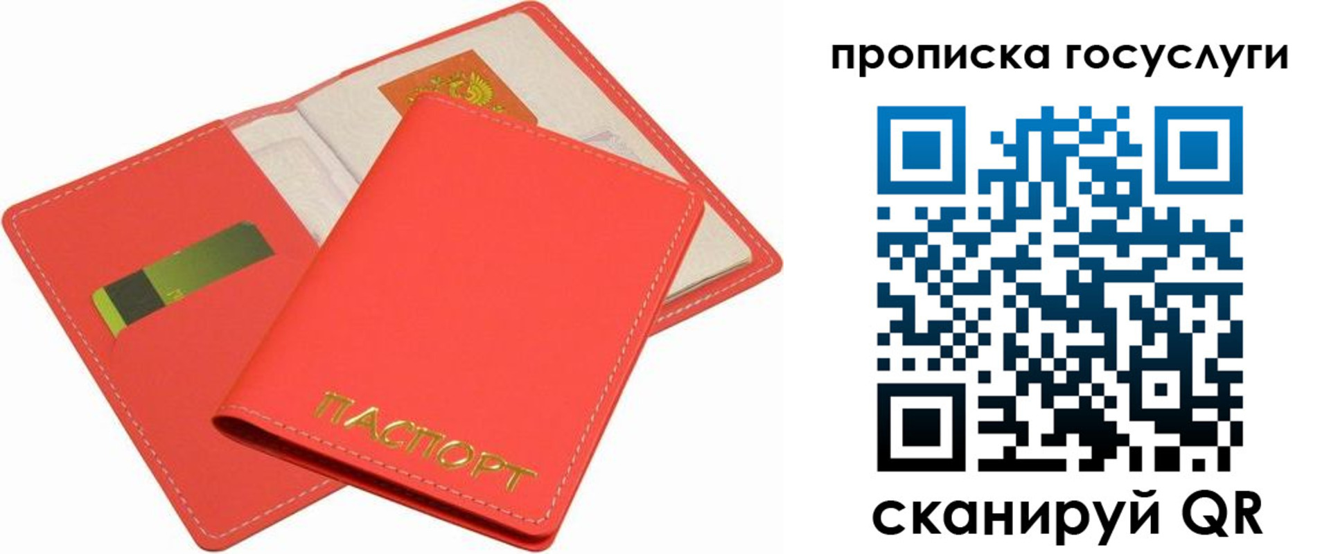прописка иностранных граждан в Королёве